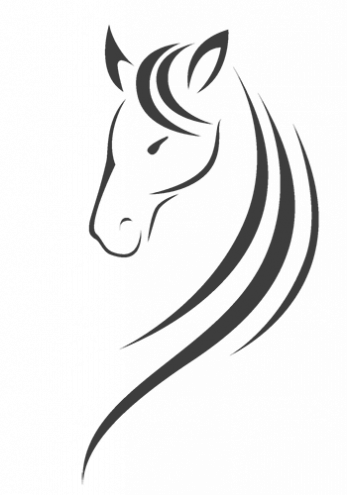 Reiterhof Marienhof wo Reiten noch Spaß macht.